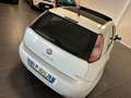 Fiat Punto Evo PUNTO EVO 1.3 MJT TETTO FULL 85CV PRONTA CONSEGNA Grau - thumbnail 10