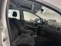 Fiat Punto Evo PUNTO EVO 1.3 MJT TETTO FULL 85CV PRONTA CONSEGNA Grau - thumbnail 17