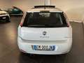 Fiat Punto Evo PUNTO EVO 1.3 MJT TETTO FULL 85CV PRONTA CONSEGNA Grau - thumbnail 9
