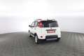 Fiat New Panda 1.0 FireFly Hybrid City Life Bianco - thumbnail 5