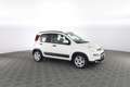 Fiat New Panda 1.0 FireFly Hybrid City Life Bianco - thumbnail 2