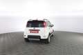 Fiat New Panda 1.0 FireFly Hybrid City Life Bianco - thumbnail 4