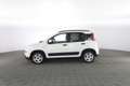 Fiat New Panda 1.0 FireFly Hybrid City Life Bianco - thumbnail 6
