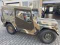 Ford Mutt M151 A2 Grün - thumbnail 3