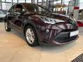Toyota C-HR 1.8 Business Edition ACC+LED+Navi+SHZ+Kam. Violett - thumbnail 5