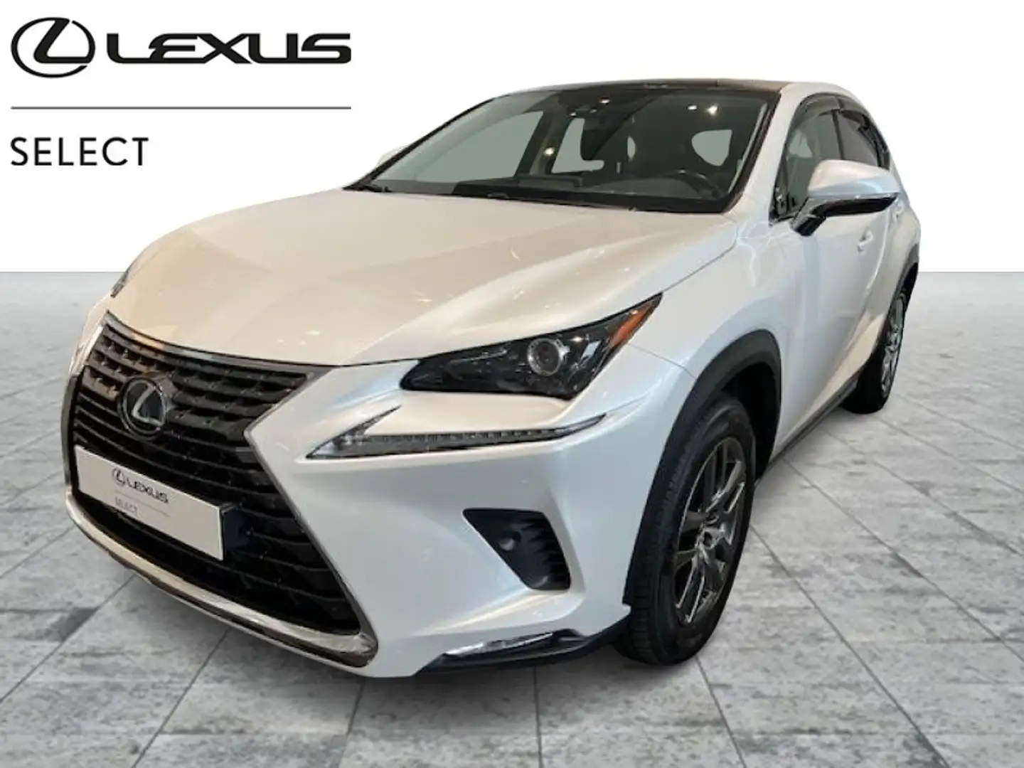 Lexus NX 300h Executive Line Beyaz - 1
