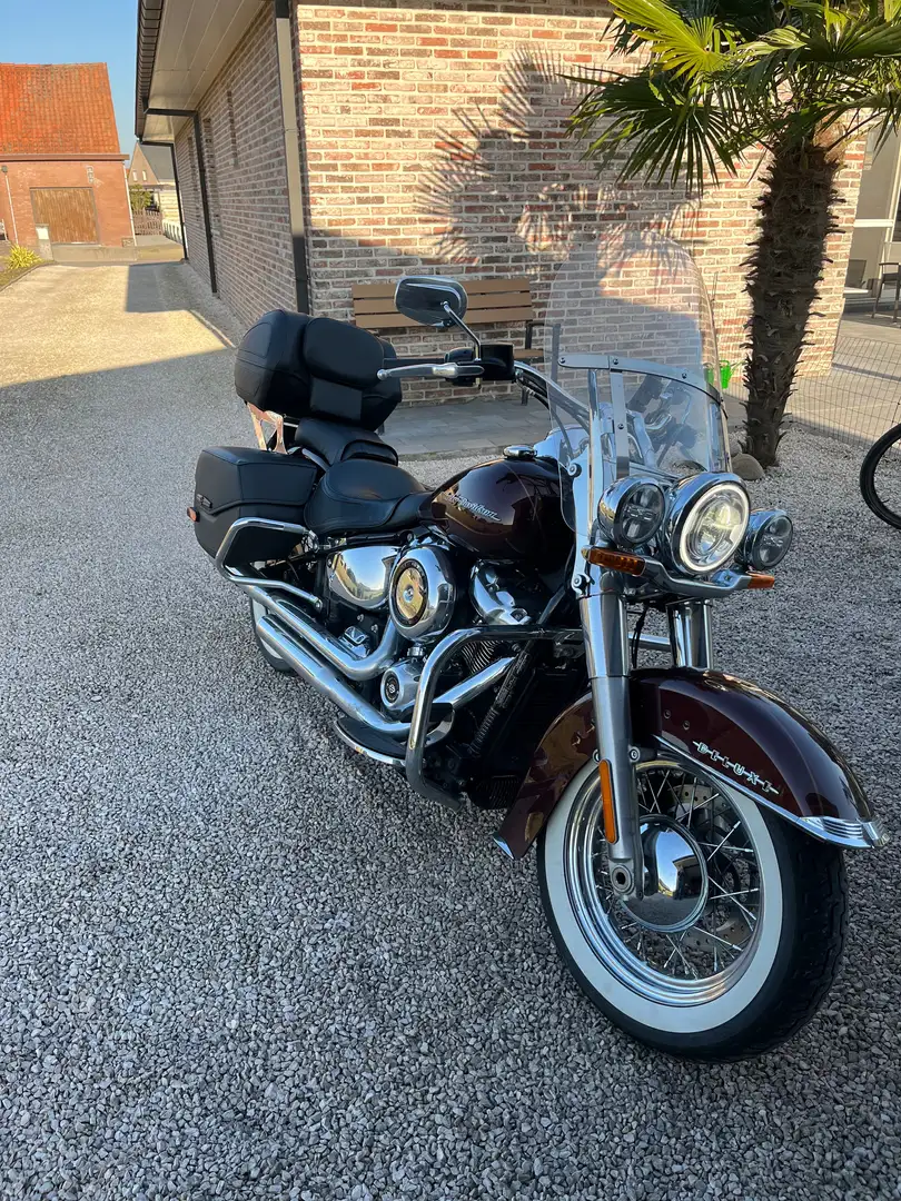 Harley-Davidson Softail Softail Deluxe Barna - 2