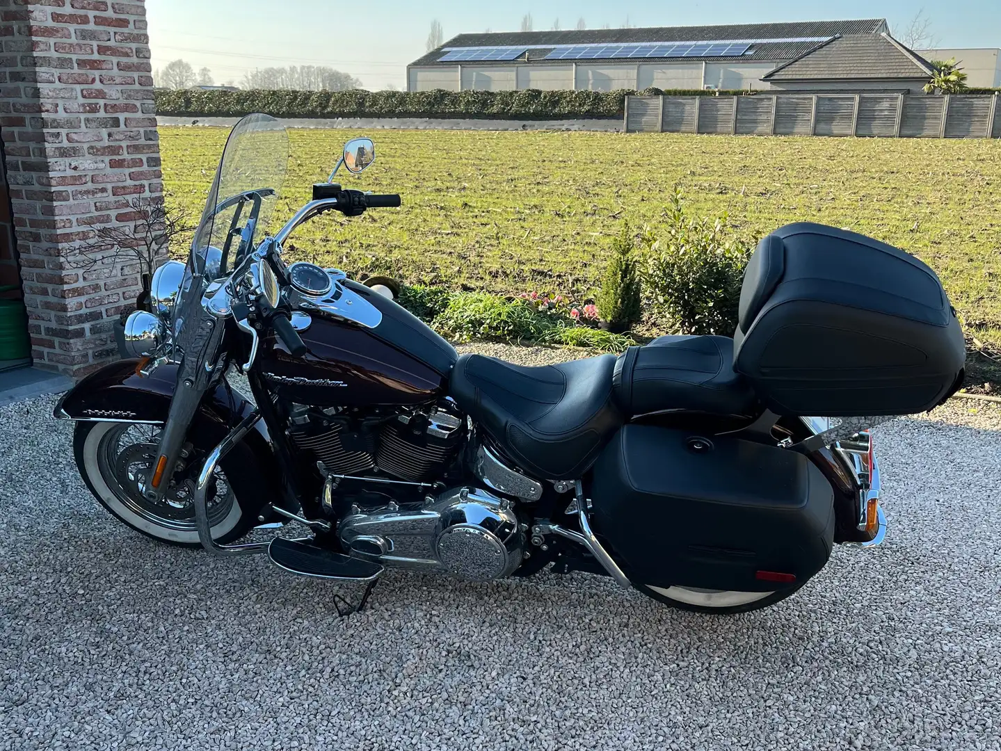 Harley-Davidson Softail Softail Deluxe Barna - 1