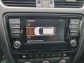 Skoda Octavia Octavia 1,0 Kombi Style - Topzustand! Schwarz - thumbnail 19