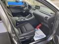 Lexus NX 300h 2.5i AWD Privilege Line E-CVT MET GARANTIE Сірий - thumbnail 3