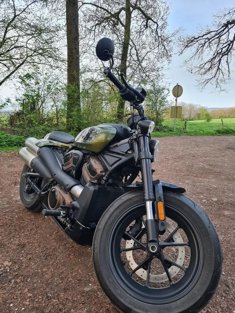 Harley-Davidson Sportster 1200 Groen - 1