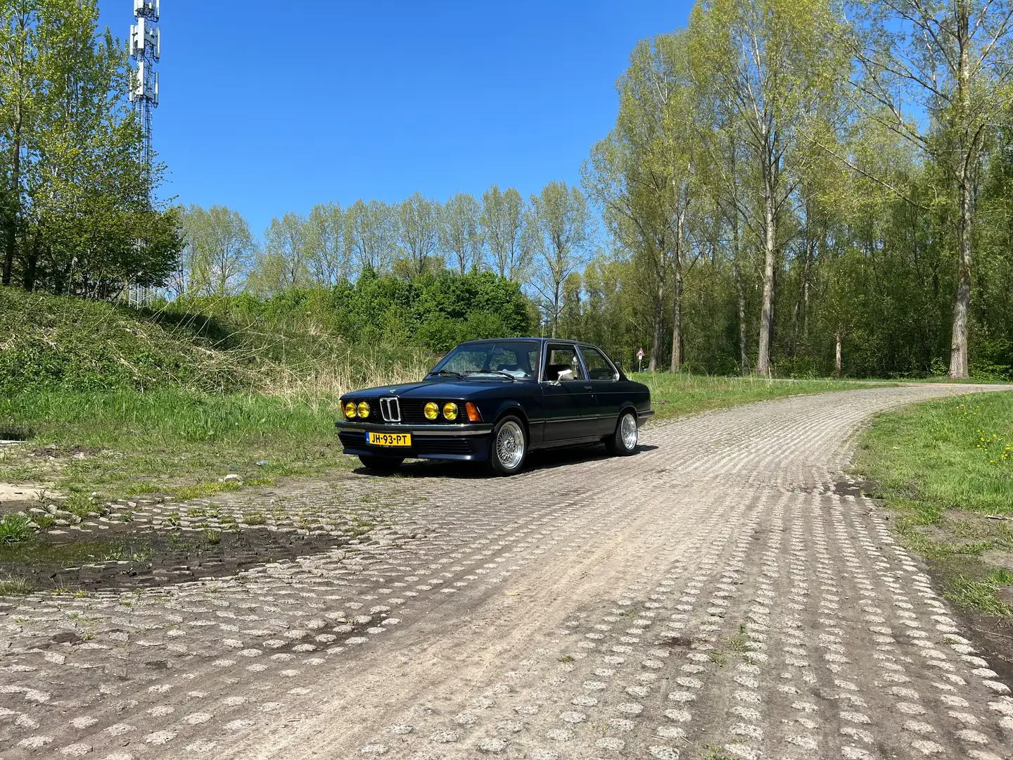 BMW 315 315 Bleu - 2