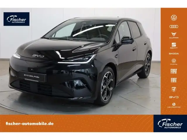 BYD Sonstige