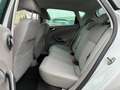 SEAT Ibiza 1.2 TSI 77KW STYLE WIT METALLIC Blanc - thumbnail 12