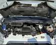 Ford Transit Ford Transit Kasten 2,0 EcoBlue L2H2 350 Trend Weiß - thumbnail 10