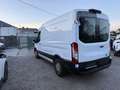 Ford Transit Ford Transit Kasten 2,0 EcoBlue L2H2 350 Trend Weiß - thumbnail 4