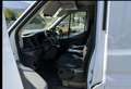 Ford Transit Ford Transit Kasten 2,0 EcoBlue L2H2 350 Trend Weiß - thumbnail 9