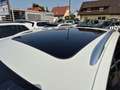 Volkswagen Tiguan Allspace *R-Line* 2.0 TDi DSG 4MOTION*Navi*Pano*Area-View* Weiß - thumbnail 5