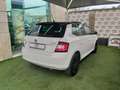 Skoda Fabia 2015 Berlina 1.0 Ambition 95cv PROMO FINANZIAMENTO Weiß - thumbnail 15