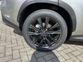 Lexus NX 450h+ F-Sport Line ***NEW - STOCK*** Beige - thumbnail 20