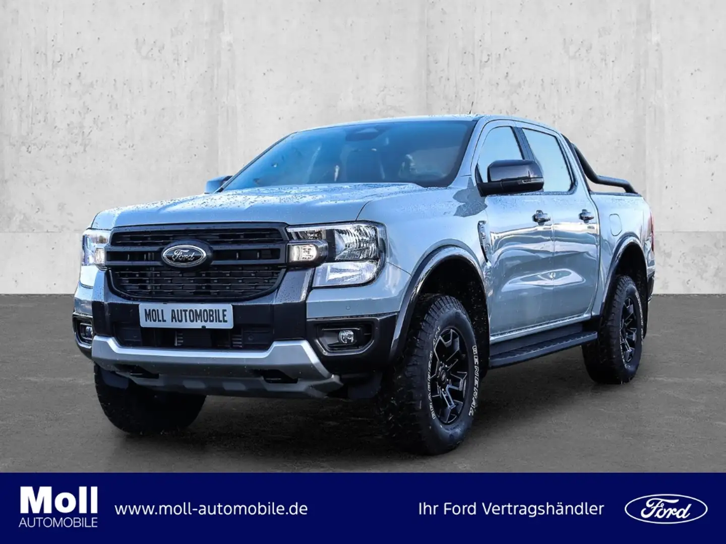 Ford Ranger Tremor 205PS Rollo AHK Winter Techno20 Grau - 1