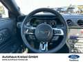 Ford Mustang GT Fastback 5.0 V8 Automatik MagneRide Portocaliu - thumbnail 11