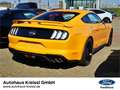 Ford Mustang GT Fastback 5.0 V8 Automatik MagneRide Portocaliu - thumbnail 4