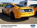 Ford Mustang GT Fastback 5.0 V8 Automatik MagneRide Portocaliu - thumbnail 5