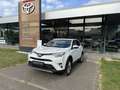 Toyota RAV 4 Lounge Blanc - thumbnail 24