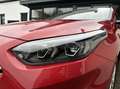 Kia Ceed / cee'd 1.0 T-GDi DynamicLine CARPLAY/CAMERA *ALL-IN PRIJS Rojo - thumbnail 7