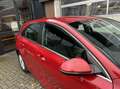 Kia Ceed / cee'd 1.0 T-GDi DynamicLine CARPLAY/CAMERA *ALL-IN PRIJS Rojo - thumbnail 3