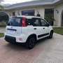 Fiat Panda 1.0 firefly hybrid City Life s&s 70cv 5p.ti - thumbnail 4
