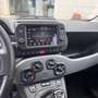 Fiat Panda 1.0 firefly hybrid City Life s&s 70cv 5p.ti - thumbnail 8
