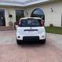 Fiat Panda 1.0 firefly hybrid City Life s&s 70cv 5p.ti - thumbnail 5