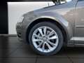 Audi A3 2.0 TDI Ambition Xenon Klimaautom SHZ Temp PDC GA Grau - thumbnail 20