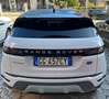 Land Rover Range Rover Evoque Evoque 2.0d i4 SE awd 163cv auto AUTOCARRO Bianco - thumbnail 5