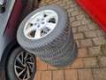 Volkswagen Golf 1.6 FSI Special CLIMATR.+SITZHZ.+8-FACH Gri - thumbnail 16
