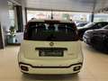 Fiat Panda PANDINA CROSS 1000 FIREFLY HYBRID KM 8000 Bianco - thumbnail 7