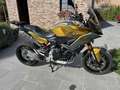BMW F 900 XR Goud - thumbnail 8