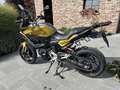 BMW F 900 XR Goud - thumbnail 10