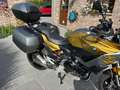 BMW F 900 XR Goud - thumbnail 19