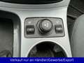 Ford C-Max 1.6 Ti-VCT Champions-Edition Braun - thumbnail 16