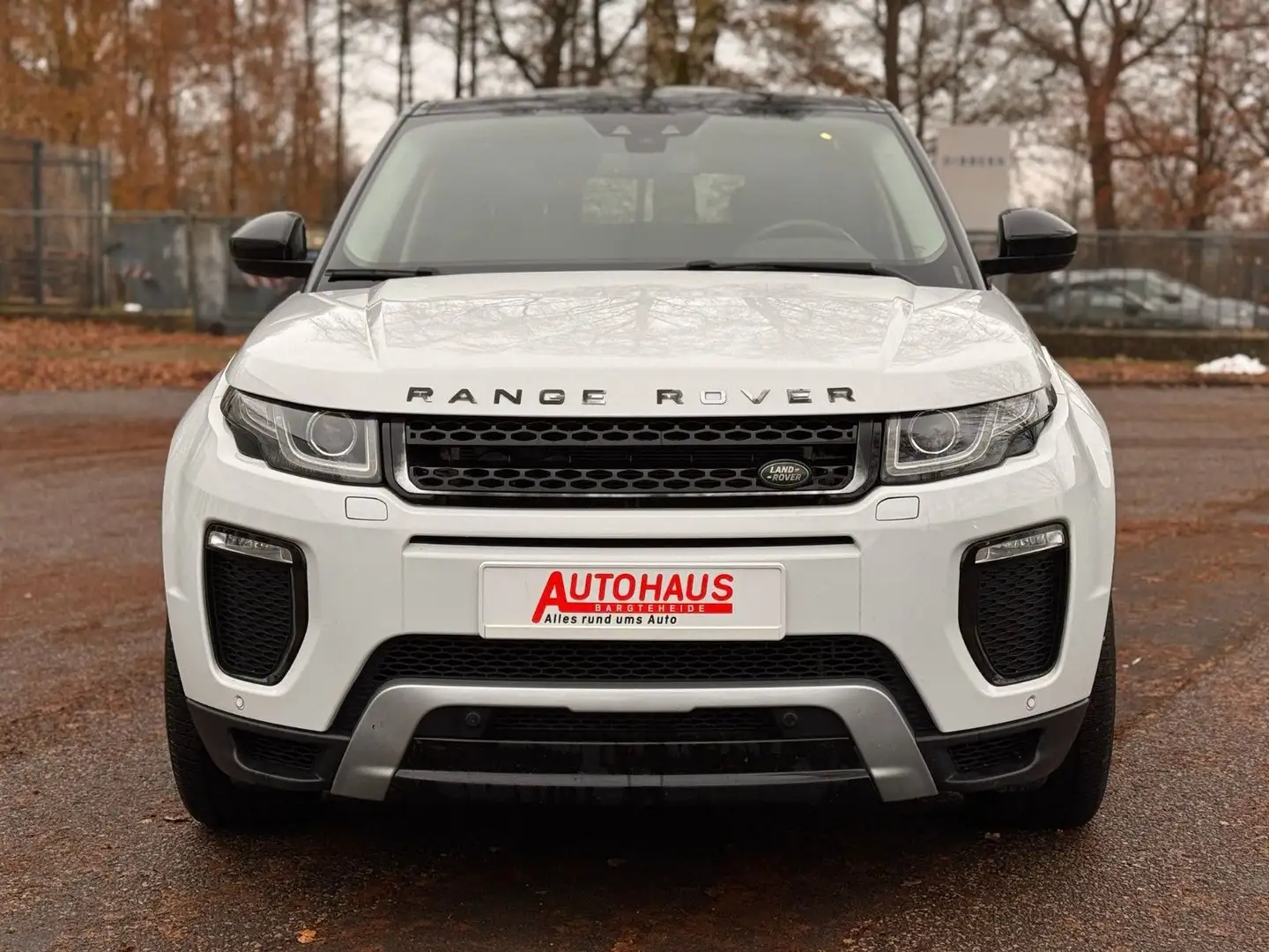 Land Rover Range Rover Evoque SE Dynamic*NAVI*BI-XENON*KLIM Bianco - 2