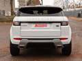 Land Rover Range Rover Evoque SE Dynamic*NAVI*BI-XENON*KLIM Bianco - thumbnail 6
