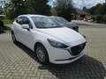 Mazda 2 SKYACTIV-G 90 PS KIZOKU mit Voll-LED, Rückfahrkame Weiß - thumbnail 8
