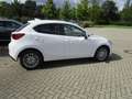 Mazda 2 SKYACTIV-G 90 PS KIZOKU mit Voll-LED, Rückfahrkame Weiß - thumbnail 7