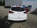 Mazda 2 SKYACTIV-G 90 PS KIZOKU mit Voll-LED, Rückfahrkame Weiß - thumbnail 5
