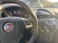Fiat Punto Evo Fiat Punto Evo 1.3 Mjt 75 CV 5 porte S&S Dynamic Gris - thumbnail 14