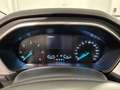 Ford Focus Focus 1.5 EcoBlue 120 CV automatico SW Design Co-P Grau - thumbnail 11
