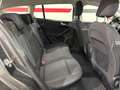 Ford Focus Focus 1.5 EcoBlue 120 CV automatico SW Design Co-P Grau - thumbnail 13